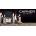 CARNER BARCELONA Palo Santo EDP 100 ml