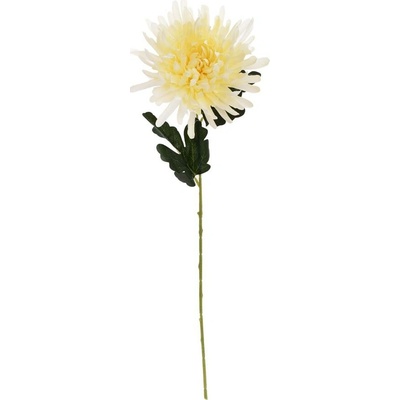 KS CHRYZANTÉMA KRÉMOVÁ 60CM