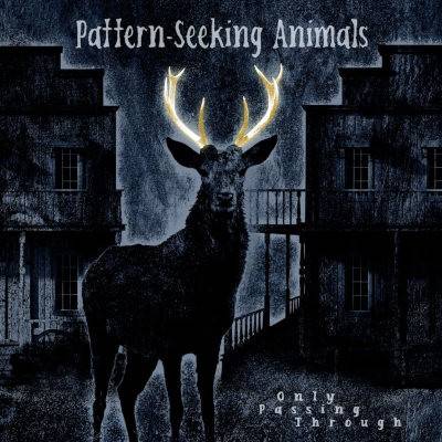 Pattern-Seeking Animals - Only Passing Through LP