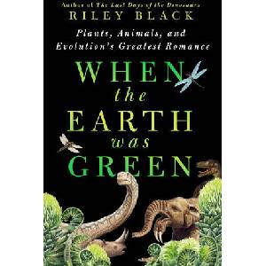 When the Earth Was Green | BLACK RILEY (ISBN: 9781250288998)
