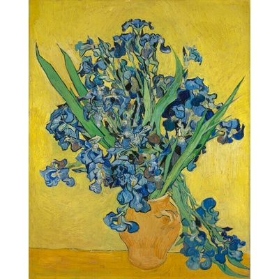 Plagát, Obraz - Irises, 1890, Vincent van Gogh, 30 × 40 cm