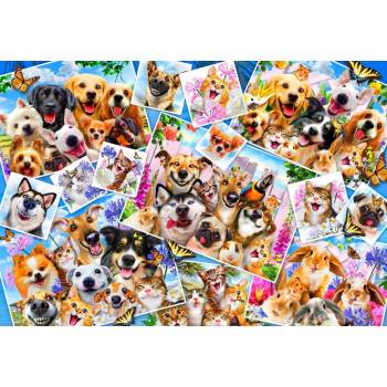 Image 1 of Bluebird Puzzle - Puzzle Selfie Pet Collage - 300 piese