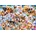Bluebird Puzzle - Puzzle Selfie Pet Collage - 300 piese
