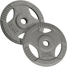 PHYSIONICS Zátěžové kotouče litina 2 x 15 kg 31 mm