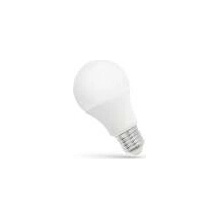 Wojnarowscy LED GLS E-27 24V 10W studená bílá 6000K bílé světlo