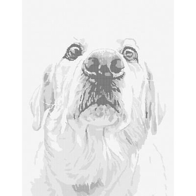 ZUTY Bodkovanie - LABRADOR Rámovanie: bez rámu a bez vypnutia plátna, Rozmer: 40x50 cm