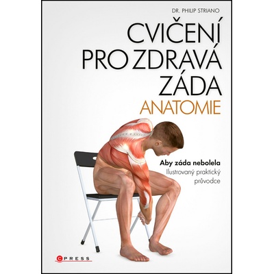 Cvičení pro zdravá záda - anatomie