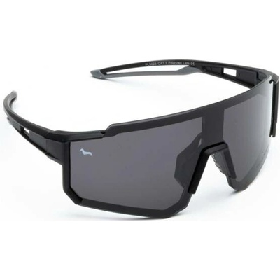 Kašmír STATE POLARIZED SSTP3