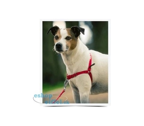 PetSafe Easy Walk Harness