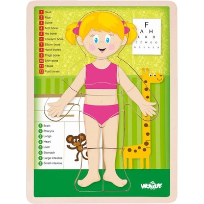 Woodyland Woody - Човешкото тяло, момиче - дървен пъзел