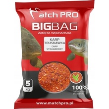 Match Pro splávková a zemní metoda 5 kg