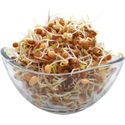 Toraf Microgreens, semínka na klíčky - Čočka 20g
