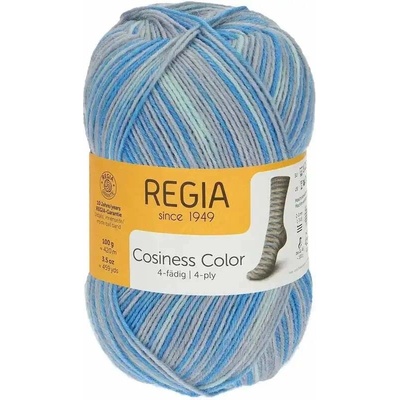 Regia 4-Ply Color 1249 restful color