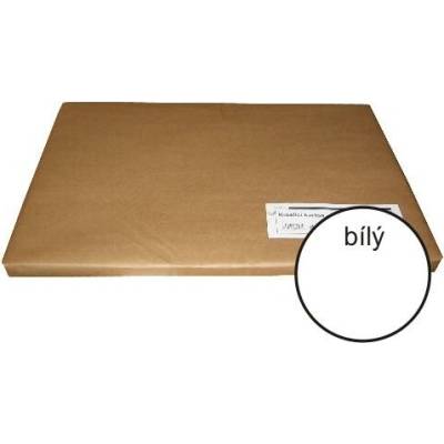Kreslící karton B2/220g/100 listů bílý