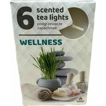 Admit Wellness 6ks