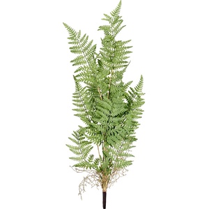 Bizzotto ИЗКУСТВЕНА КЛОНКА ailen 89cm ЗЕЛЕНА (0171909)