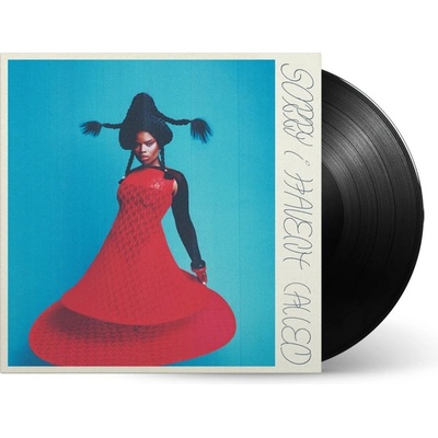 VAGABON - SORRY I HAVEN\'T CALLED LP
