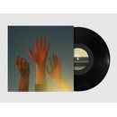 BOYGENIUS - RECORD LP