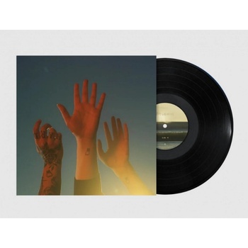 BOYGENIUS - RECORD LP
