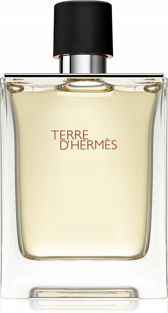 Hermès Terre D'Hermès toaletní voda pánská 100 ml tester