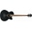 Ibanez AEB 8E