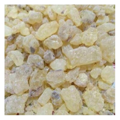 World Herbs Damara pryskyřice 100 g