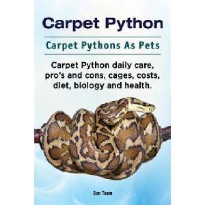 Carpet Python | Ben Team (2016)