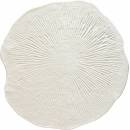 Mood Selection Pam Cream