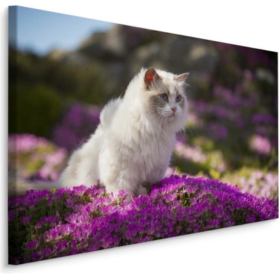 MyBestHome BOX Plátno Ragdoll Kočka Mezi Květinami Varianta: 90x60