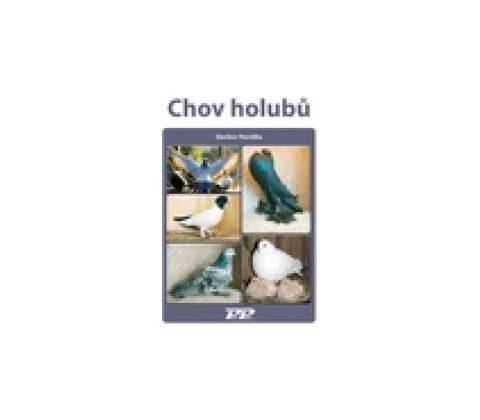 Chov holubů