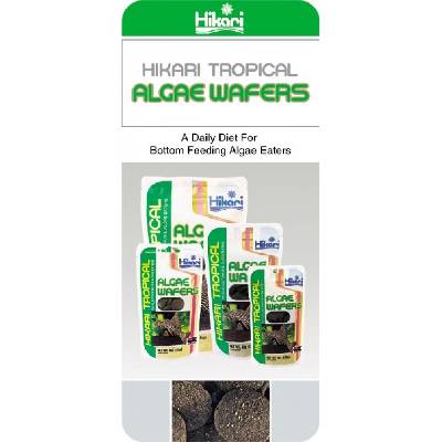 Hikari Tropical Algae Wafers 250 g – Zbozi.Blesk.cz