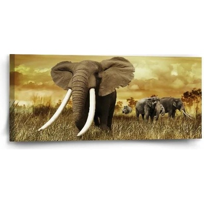 Sablio Obraz Slon Africký - 110x50 cm