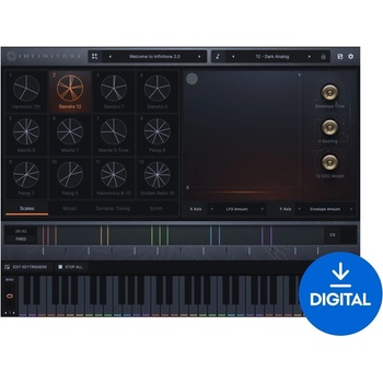 Infinitone Infinitone 2 (Дигитален продукт)