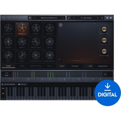 Infinitone Infinitone 2 (Дигитален продукт)