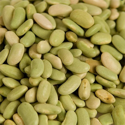 Bosfood Fazole Flageolets zelené sušené 1 kg