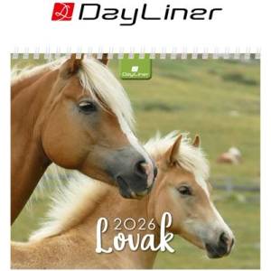 DAYLINER Календар, настолен, вертикален, dayliner „Коне dl7as-lofal-hh (dl7as-lofal-hh)