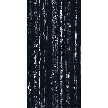 Maxwhite White Portro 600 x 1200 x 9 mm černá 1,44m²