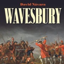 Wavesbury - Návara David