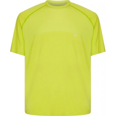 Calvin Klein Seamless SS T-shirt love bird