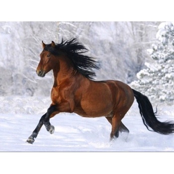 Image 1 of Кафяв кон в снега 40/50 см