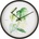 Karlsson Стенен часовник Botanical Monstera (KA5883)
