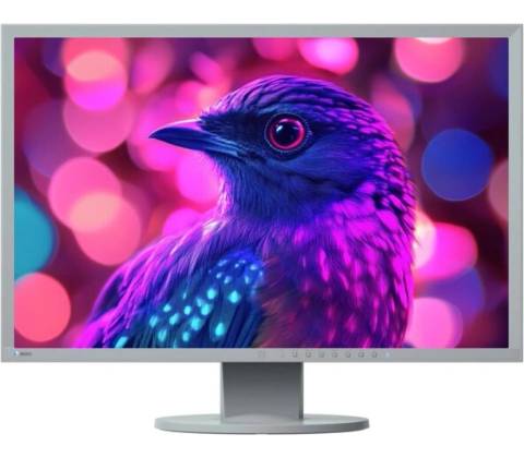 Eizo FlexScan EV2436W