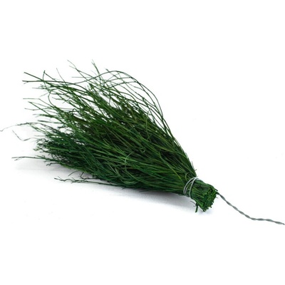 Stabilizovaný asparagus Posy