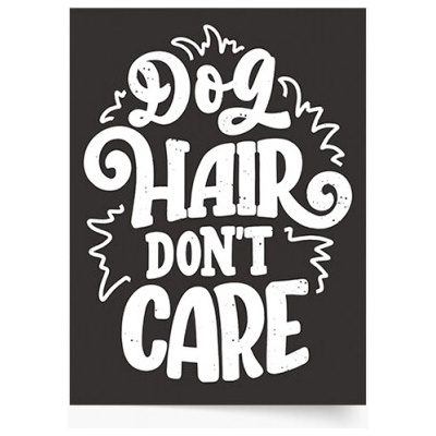 Plagát Dog hair don't care 70x100 - 77545