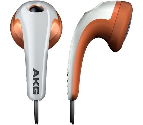 AKG K 313
