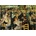 Educa - Puzzle Renoir: Dance at Le Moulin de La Galette - 3 000 piese
