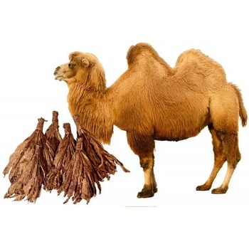 Inawera Концентрат за база Inawera с аромaт DESERT SHIP 10ml