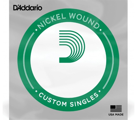 D'addario NW024
