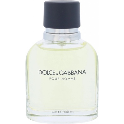 Dolce & Gabbana toaletná voda pánska 75 ml