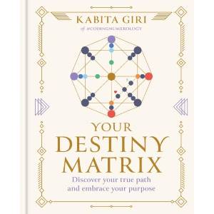 Your Destiny Matrix (ISBN: 9781841816838)